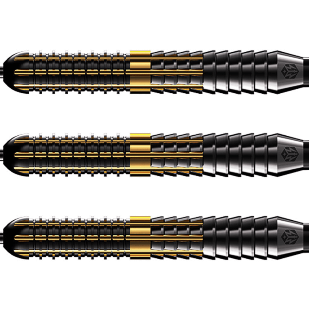 Caliburn Combo C2 Steeldarts Detail