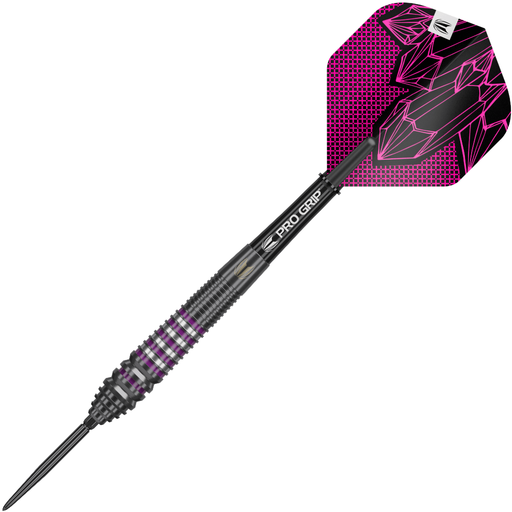 Target Lorraine Winstanley G2 Swiss Point Steeldarts