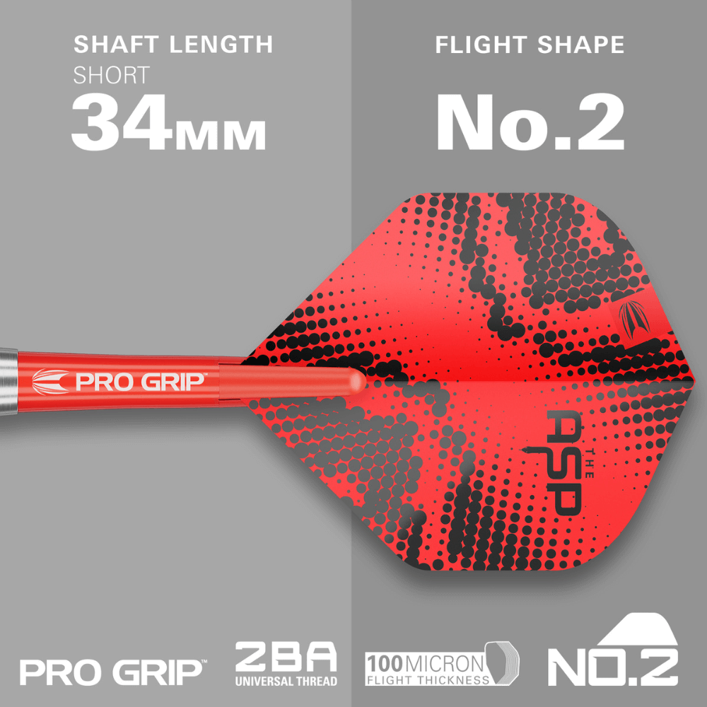 Target Nathan Aspinall Brass Steeldarts Längen Shaft, Flight