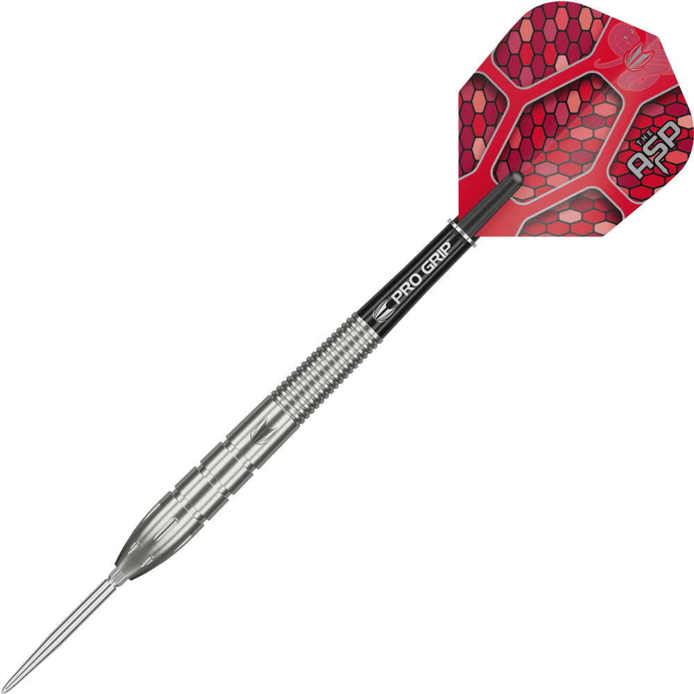 Target Nathan Aspinall Swiss Point Steeldarts