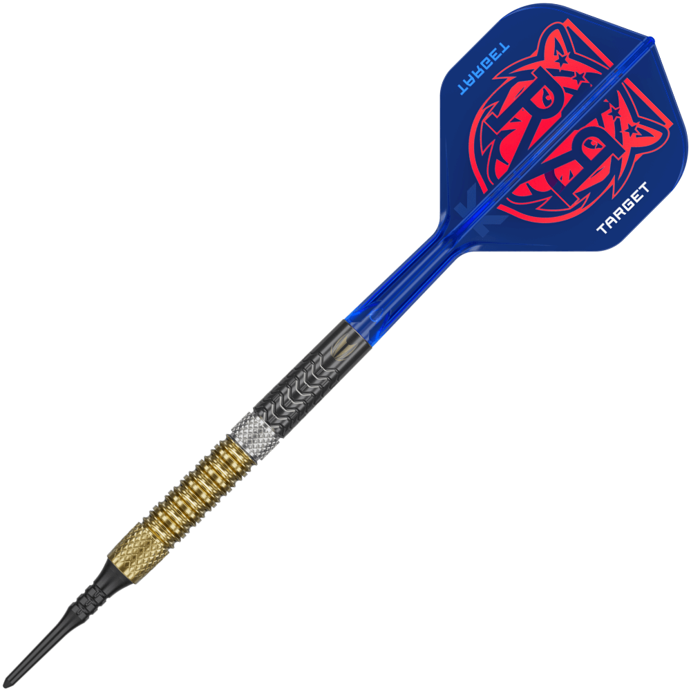 Target Raymond van Barneveld GEN6 Softdarts