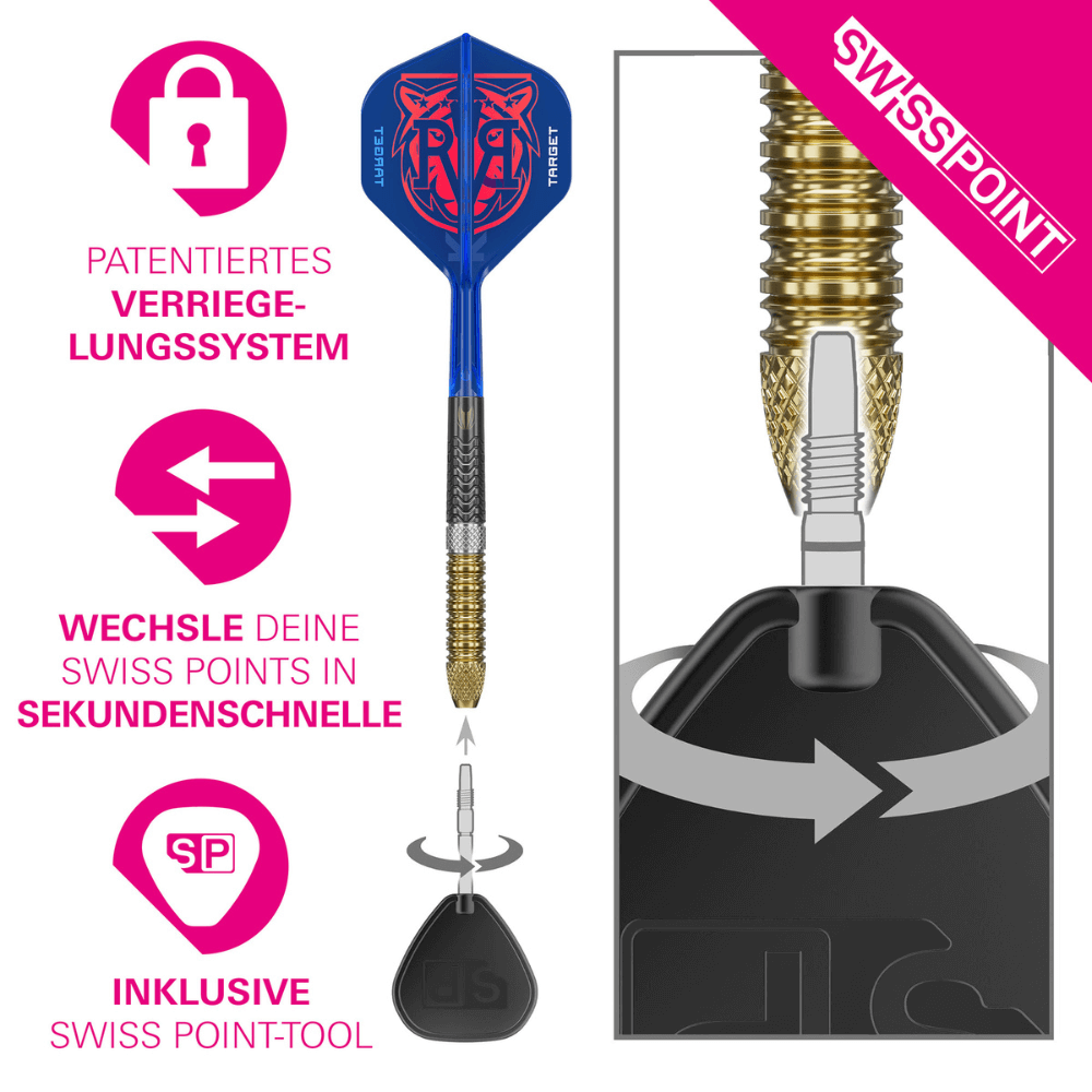 Target Raymond van Barneveld GEN6 Swiss Point Steeldarts Detail