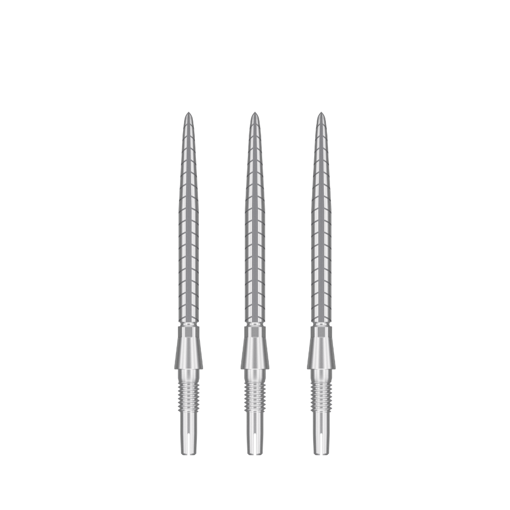 Target Swiss Point Storm Quartz Spitzen - Silber